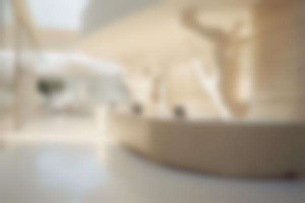 北京欧华医疗美容(旗舰店)